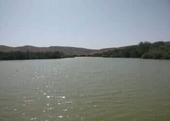 מטאורים, חיות וטיולים: דווקא בקיץ – כל האטרקציות השוות במדבר