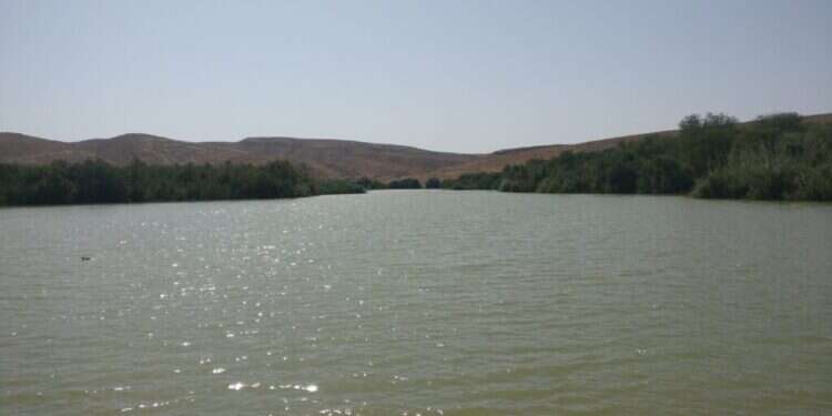 פארק אגם ירוחם. צילום: אין אאוט מטאורים, חיות וטיולים: דווקא בקיץ – כל האטרקציות השוות במדבר