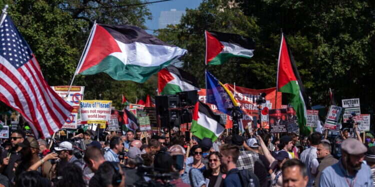 מפגינים אנטי ישראלים פרצו את גדר ועידת המפלגה הדמוקרטית בשיקגו