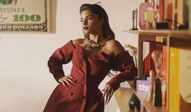 צילום: לינקטון