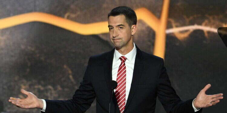 הסנאטור הרפובליקני טום קוטון, שמוביל את הצעת החוק בעד יהודה ושומרון. צילום: ANDREW CABALLERO-REYNOLDS / AFP "אמברגו נשק חלקי" על ישראל: סנאטורים במתקפה על ביידן