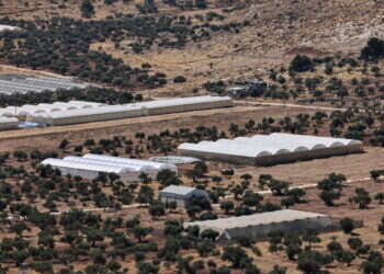 דיווח: פלסטינים באזור שכם מקימים חממות ומשתלטים על שטחי C