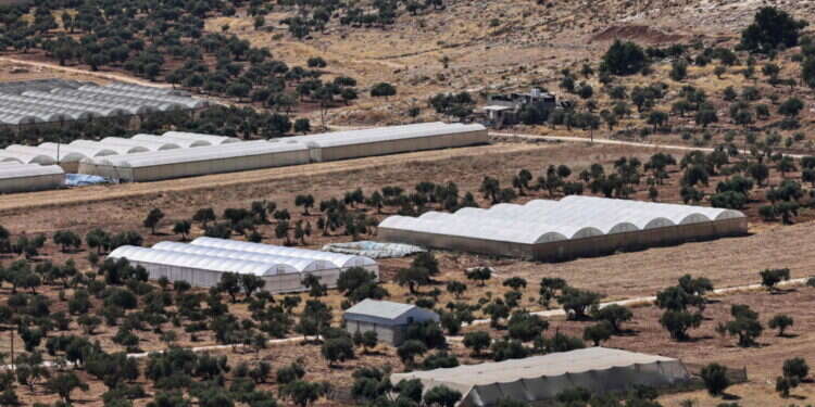 דיווח: פלסטינים באזור שכם מקימים חממות ומשתלטים על שטחי C