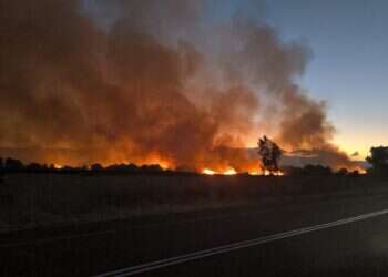 עשרים דקות אקראיות בצפון מספיקות כדי לשנות את התודעה
