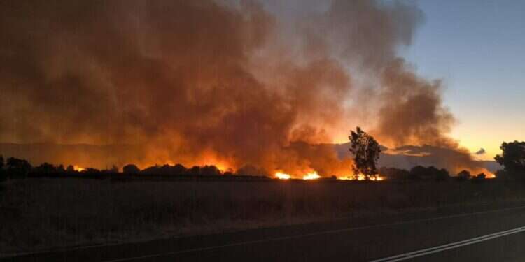 שרפות בצפון. צילום: עליזה בלוך עשרים דקות אקראיות בצפון מספיקות כדי לשנות את התודעה