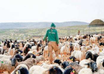 "התעמרות אמריקנית": דאגה בהתיישבות בעקבות המשך הסנקציות