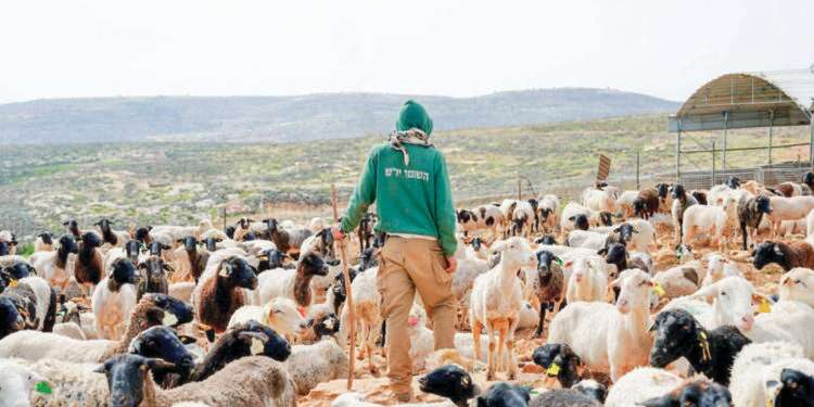 מתנדב של  "התעמרות אמריקנית": דאגה בהתיישבות בעקבות המשך הסנקציות