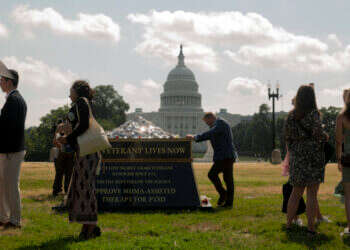 "שבור לב ונגעל": ה־FDA פסל תרופה פסיכדלית לפוסט־טראומה