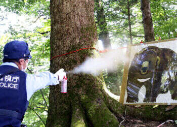 יפן: משטרת טוקיו ערכה "תרגיל להרתעת דובים"