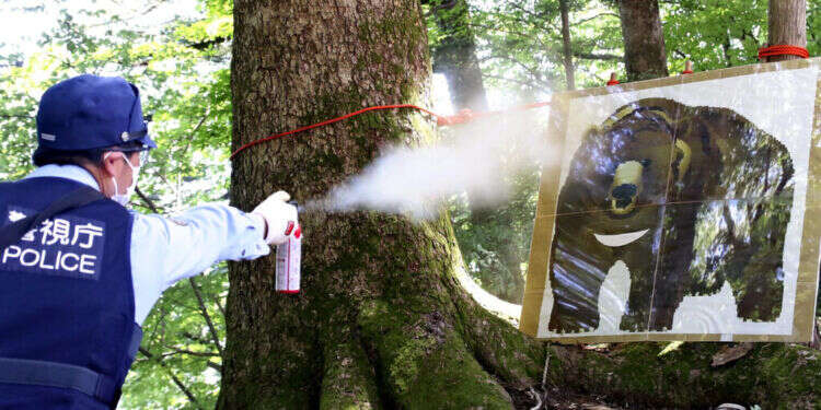 יפן: משטרת טוקיו ערכה "תרגיל להרתעת דובים"
