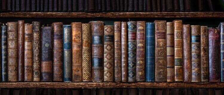 צילום: שאטרסטוק צילום: שאטרסטוק