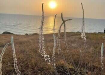 אהבה ממסלול ראשון: המלצות לטיול זוגי לכבוד ט"ו באב