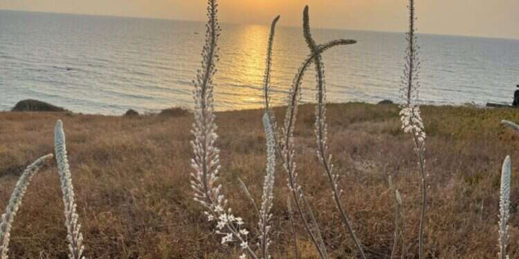אהבה ממסלול ראשון: המלצות לטיול זוגי לכבוד ט"ו באב