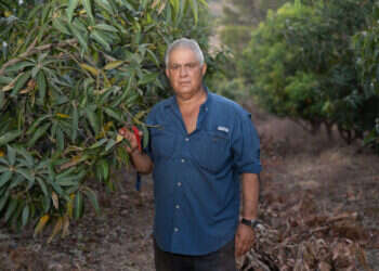 מוטי אלמוז. צילום: אייל מרגולין, ג'יני