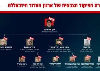 בכירי הארגון שחוסלו. צילום: דו"צ