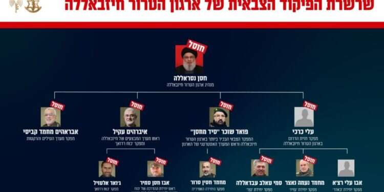 בכירי חיזבאללה שחוסלו. צילום: דו בכירי הארגון שחוסלו. צילום: דו"צ