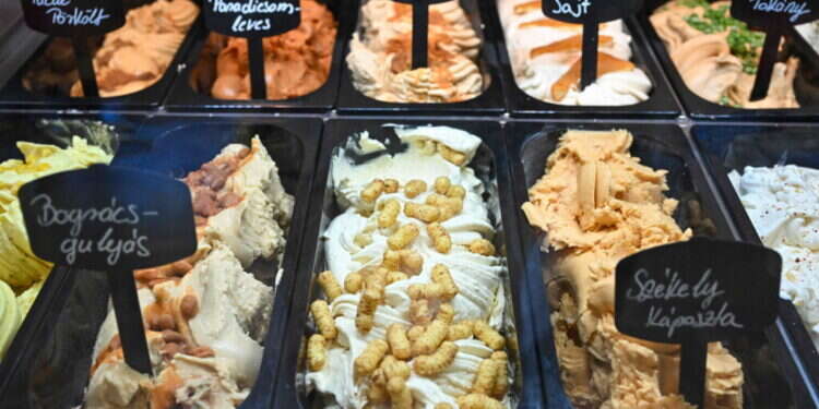 הגלידריה של רוברטו. צילום: ATTILA KISBENEDEK / AFP גולאש בגביע: גלידריה בהונגריה מציעה גלידות בטעמי תבשילים מסורתיים