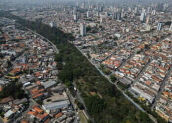 ברזיל: החליט על דעת עצמו לנטוע פארק ענק במרכז העיר – וגם ביצע