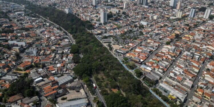 ברזיל: החליט על דעת עצמו לנטוע פארק ענק במרכז העיר – וגם ביצע