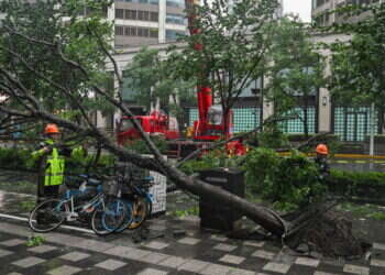סופת טייפון בשאנגחאי. צילום: HECTOR RETAMAL / AFP המונים פונו מבתיהם: הטייפון החזק ביותר ב-75 שנים מכה בשאנגחאי