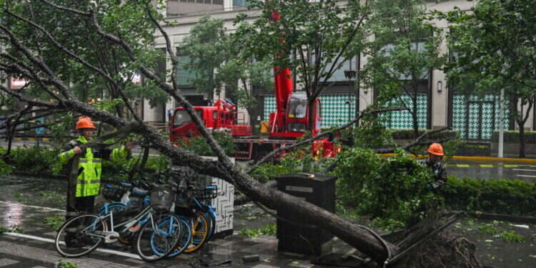 סופת טייפון בשאנגחאי. צילום: HECTOR RETAMAL / AFP המונים פונו מבתיהם: הטייפון החזק ביותר ב-75 שנים מכה בשאנגחאי