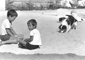 "העברית שלנו צמחה בגבעות החול". צילום: נתי הרניק, לע"מ