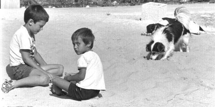 "העברית שלנו צמחה בגבעות החול". צילום: נתי הרניק, לע"מ