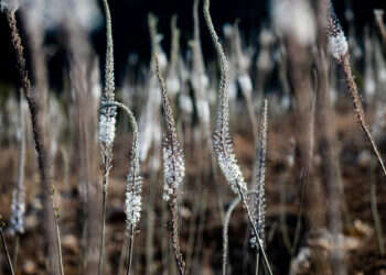 חצבים בתל יודפת. צילום: ענת חרמונוב - פלאש 90