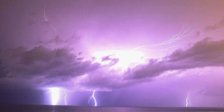 צילום: יוסי אלוני - פלאש 90 צילום: יוסי אלוני - פלאש 90