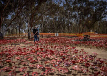 מיצב כלניות לזכר הנופלים ביער רעים. צילום: חיים גולדברג - פלאש 90
