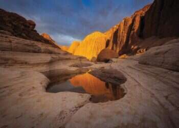ישראל היא הבית: הצצה לתחרות הצילום השנתית של נשיונל ג'יאוגרפיק