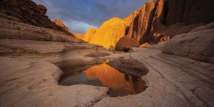 ישראל היא הבית: הצצה לתחרות הצילום השנתית של נשיונל ג'יאוגרפיק