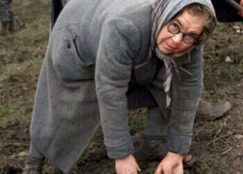 נאבקה על מקומה בעולם כפועלת עבריה. חיותה בוסל בטקס נטיעות ליד נבי יושע, שנות החמישים. צילום: מאוספי ביתמונה, צילום: פייקלה קב. כנרת