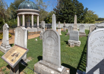 בית הקברות בווינה. צילום מסך מיוטיוב יוגה, אופניים וקונצרטים: בווינה מתאמצים "להחיות את בית הקברות"