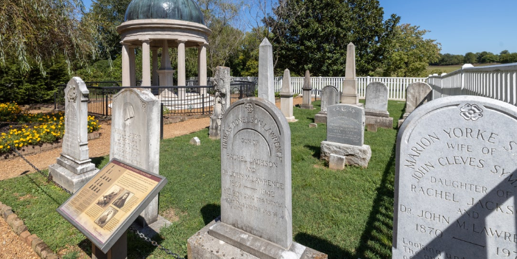 יוגה, אופניים וקונצרטים: בווינה מתאמצים "להחיות את בית הקברות"