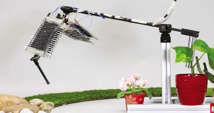 הרגל הרובוטית. צילום מסך מיוטיוב "שרירים מלאכותיים": טכנולוגיה חדשה הופכת את הרגל הרובוטית לכמעט אנושית