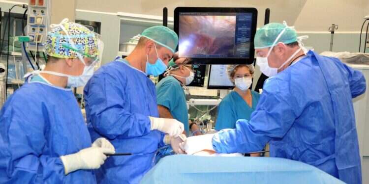 צילום: המרכז הרפואי לגליל, נהריה לראשונה בישראל: ניתוח רובוטי להסרת הלבלב בשלמותו