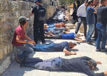 יהודים משתטחים בהר הבית בתשעה באב השנה צילום: ארנון סגל