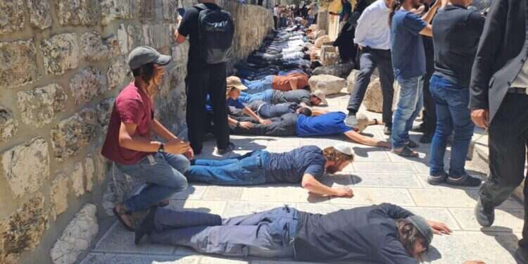 יהודים משתטחים בהר הבית בתשעה באב השנה צילום: ארנון סגל