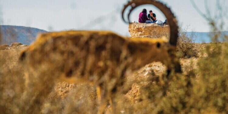 ישראל היא הבית: הצצה לתחרות הצילום השנתית של נשיונל ג'יאוגרפיק