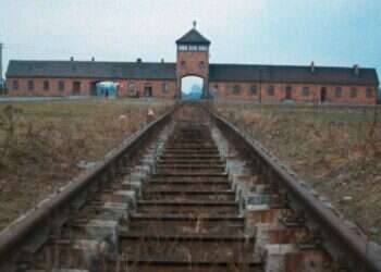 "הנאצים לא היו גרמנים, הגרמנים היו קורבנות": האידיאולוגיה מאחורי AfD