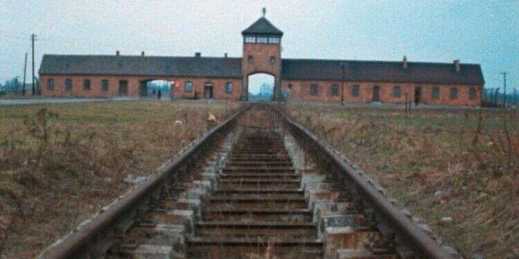 "הנאצים לא היו גרמנים, הגרמנים היו קורבנות": האידיאולוגיה מאחורי AfD