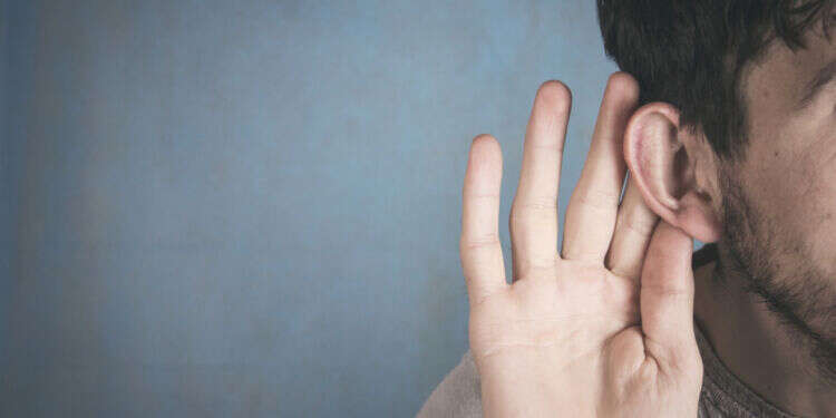 צילום: שאטרסטוק