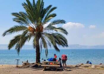 בניגוד לציפיות: ירידה של 40% במספר הנופשים בחופי הכינרת