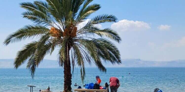 בניגוד לציפיות: ירידה של 40% במספר הנופשים בחופי הכינרת