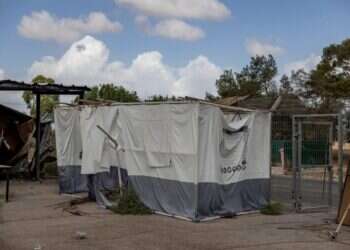 הסוכות משנה שעברה עדיין עומדות על תילן. נחל־עוז, השבוע. צילום: נעמה שטרן הסוכות משנה שעברה עדיין עומדות על תילן. נחל־עוז, השבוע. צילום: נעמה שטרן