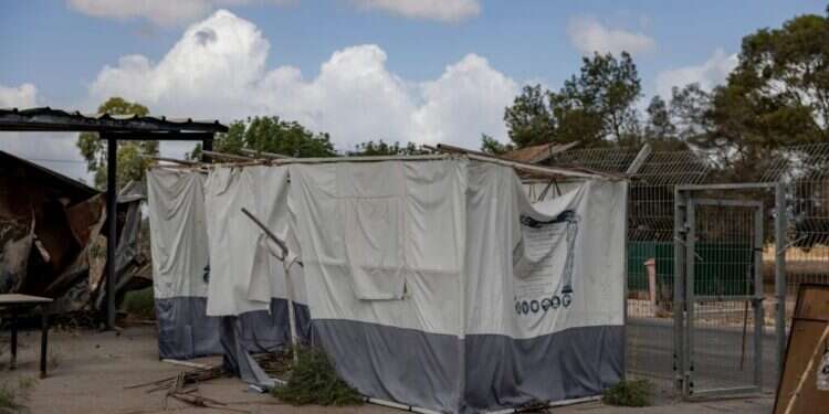 הסוכות משנה שעברה עדיין עומדות על תילן. נחל־עוז, השבוע. צילום: נעמה שטרן