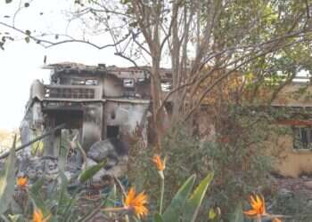 צילום: סתיו פאולמן