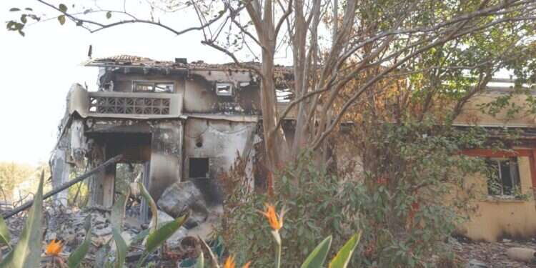 צילום: סתיו פאולמן צילום: סתיו פאולמן