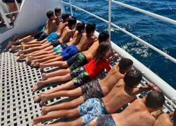 פריחות ועקיצות: בעיות העור מתגברות בקיץ ויש דרך להתמודד איתן